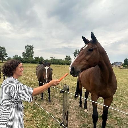 Вилла Bed & Bets! Geetbets Экстерьер фото